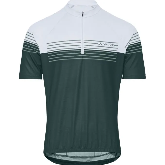 Posta Half-Zip II Fahrrad Trikot Herren