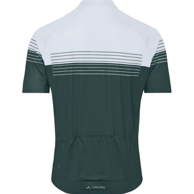 Posta Half-Zip II Fahrrad Trikot Herren