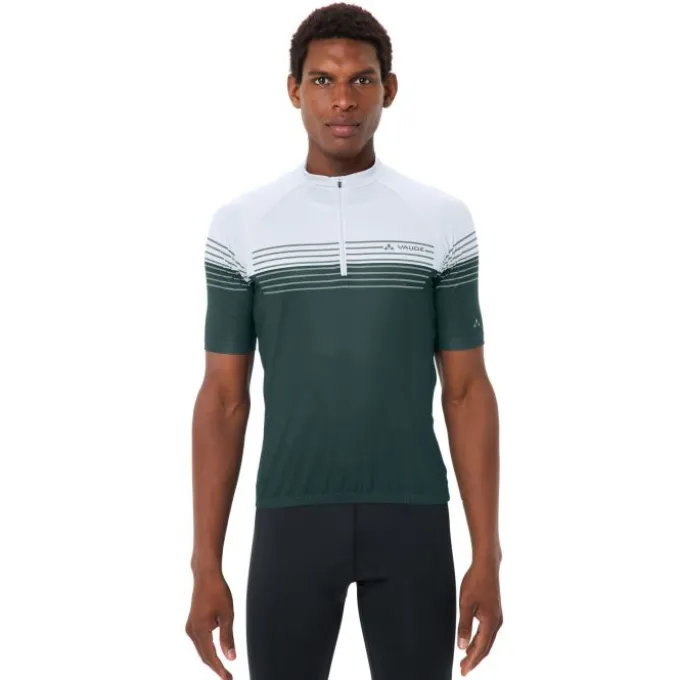 Posta Half-Zip II Fahrrad Trikot Herren