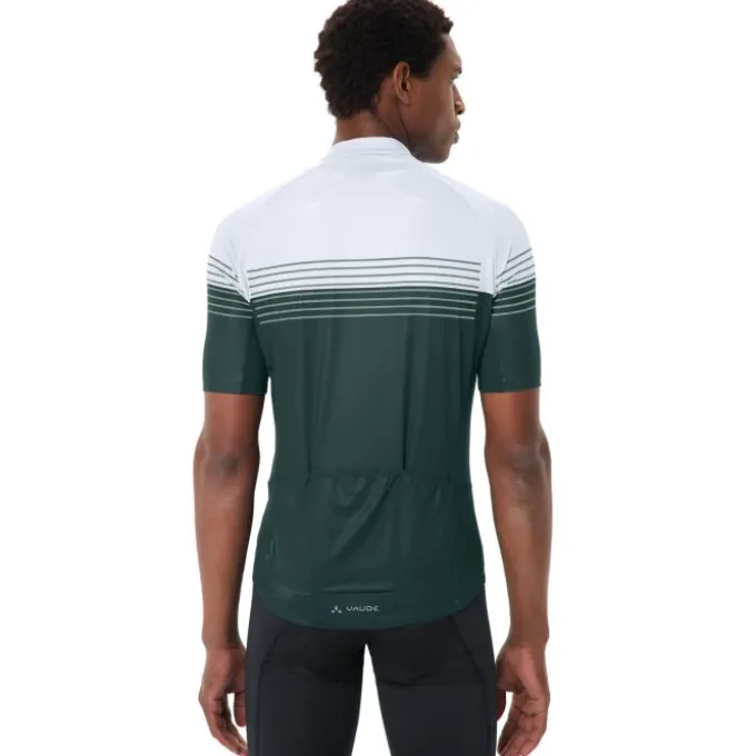 Posta Half-Zip II Fahrrad Trikot Herren