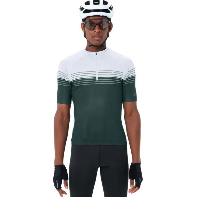 Posta Half-Zip II Fahrrad Trikot Herren
