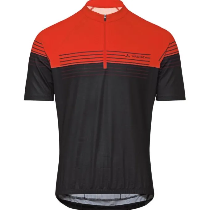 Posta Half-Zip II Fahrrad Trikot Herren