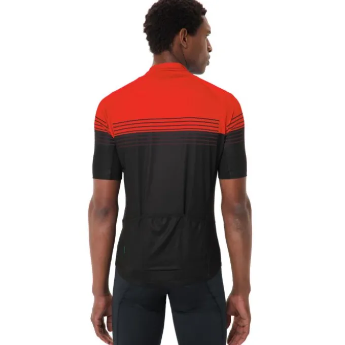 Posta Half-Zip II Fahrrad Trikot Herren
