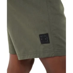 Redmont IV Shorts Herren